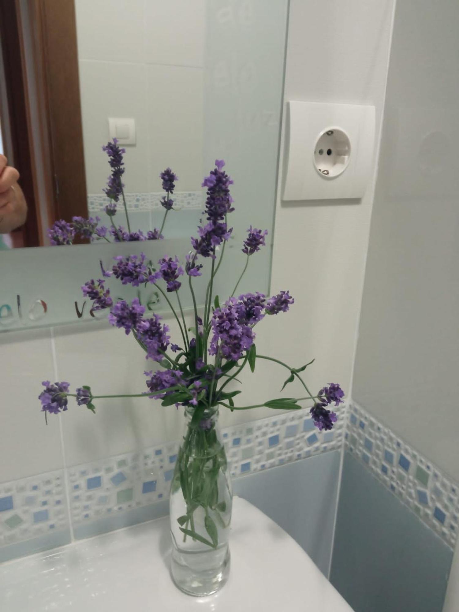 Apartamentos La Blanca Nueva De Llanes Dış mekan fotoğraf