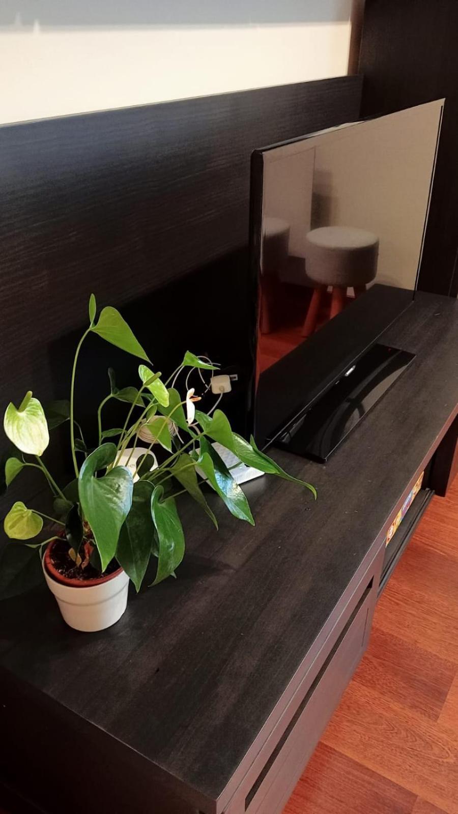 Apartamentos La Blanca Nueva De Llanes Dış mekan fotoğraf